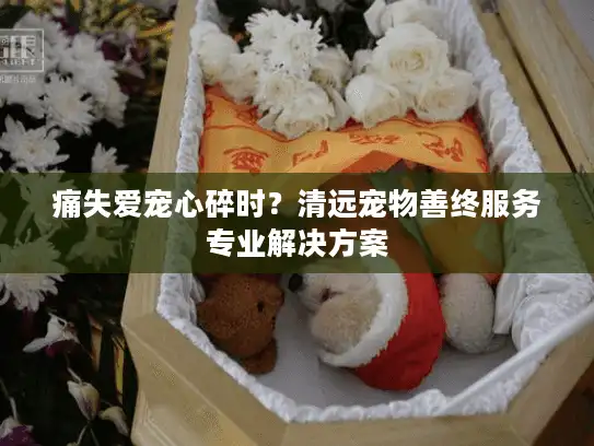 痛失爱宠心碎时？清远宠物善终服务专业解决方案