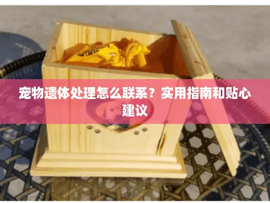 宠物遗体处理怎么联系?实用指南和贴心建议 宠物遗体处理怎么联系?实用指南和贴心建议