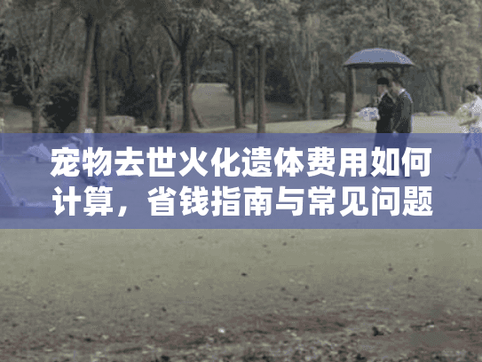 宠物去世火化遗体费用如何计算，省钱指南与常见问题解答