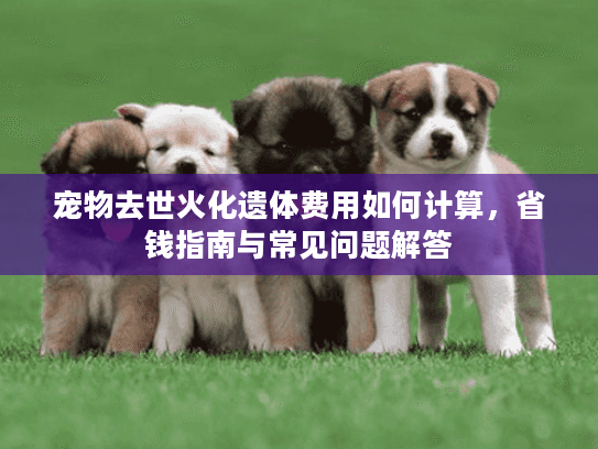 宠物去世火化遗体费用如何计算，省钱指南与常见问题解答