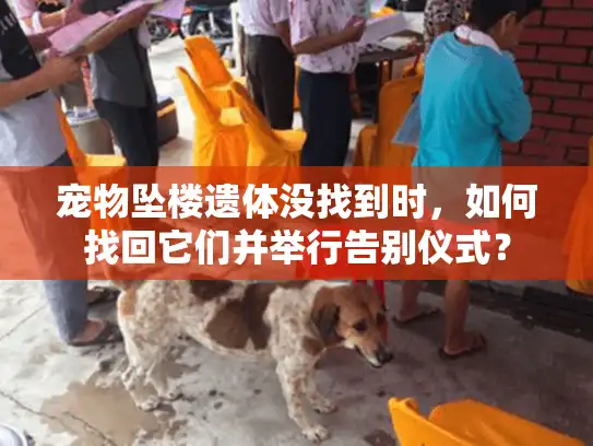 宠物坠楼遗体没找到时，如何找回它们并举行告别仪式？