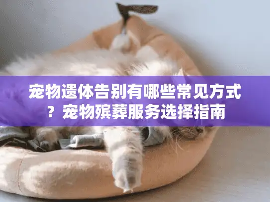 宠物遗体告别有哪些常见方式?宠物殡葬服务选择指南 宠物遗体告别有哪些常见方式?宠物殡葬服务选择指南