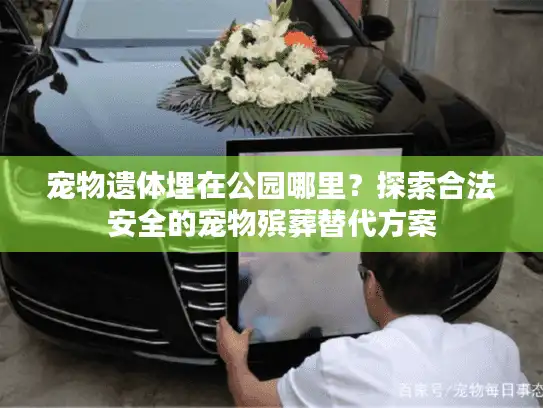宠物遗体埋在公园哪里?探索合法安全的宠物殡葬替代方案 宠物遗体埋在公园哪里?探索合法安全的宠物殡葬替代方案
