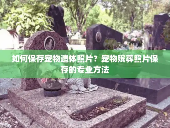 如何保存宠物遗体照片？宠物殡葬照片保存的专业方法