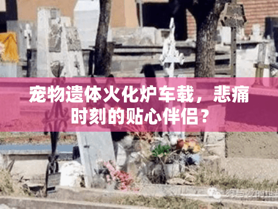 宠物遗体火化炉车载,悲痛时刻的贴心伴侣? 宠物遗体火化炉车载,悲痛时刻的贴心伴侣?