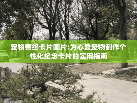 宠物善终卡片图片:为心爱宠物制作个性化纪念卡片的实用指南