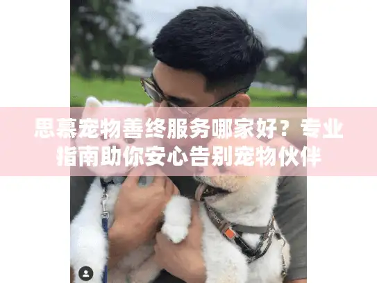 思慕宠物善终服务哪家好?专业指南助你安心告别宠物伙伴 思慕宠物善终服务哪家好?专业指南助你安心告别宠物伙伴