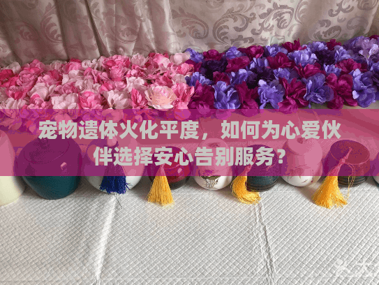 宠物遗体火化平度,如何为心爱伙伴选择安心告别服务? 宠物遗体火化平度,如何为心爱伙伴选择安心告别服务?