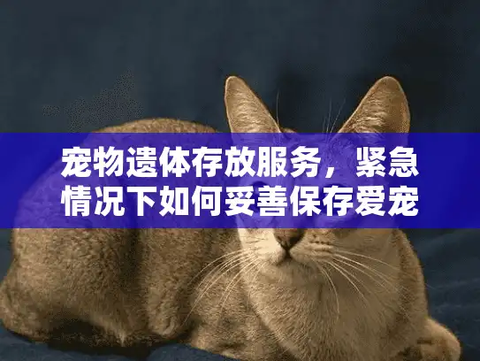 宠物遗体存放服务，紧急情况下如何妥善保存爱宠遗体？
