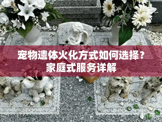 宠物遗体火化方式如何选择？家庭式服务详解