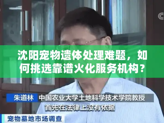 沈阳宠物遗体处理难题，如何挑选靠谱火化服务机构？