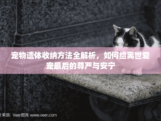 宠物遗体收纳方法全解析，如何给离世爱宠最后的尊严与安宁