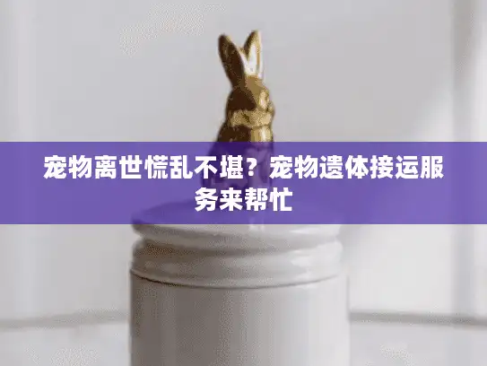 宠物离世慌乱不堪？宠物遗体接运服务来帮忙