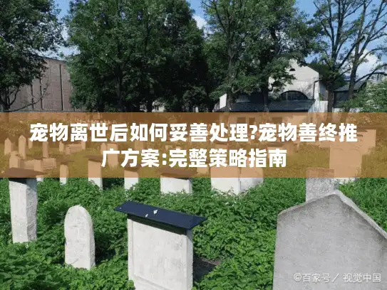 宠物离世后如何妥善处理?宠物善终推广方案:完整策略指南