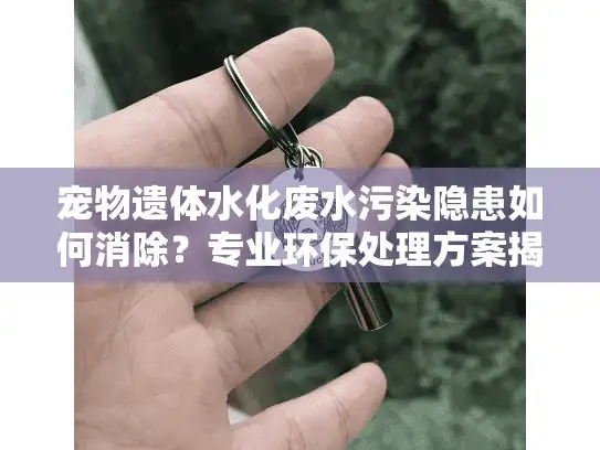 宠物遗体水化废水污染隐患如何消除?专业环保处理方案揭秘 宠物遗体水化废水污染隐患如何消除?专业环保处理方案揭秘