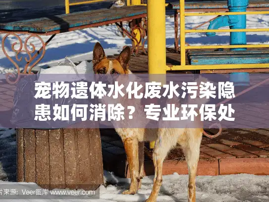 宠物遗体水化废水污染隐患如何消除?专业环保处理方案揭秘 宠物遗体水化废水污染隐患如何消除?专业环保处理方案揭秘
