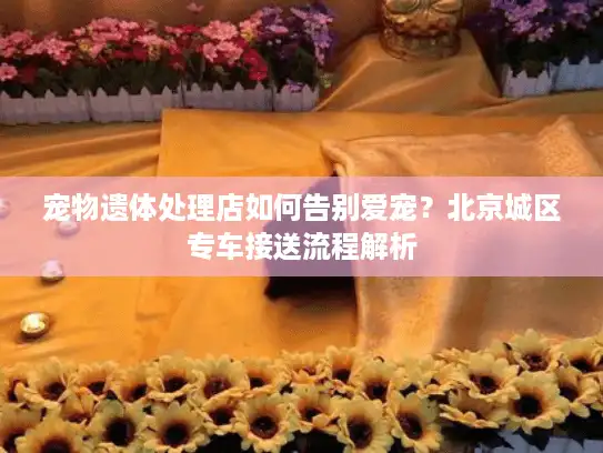 宠物遗体处理店如何告别爱宠?北京城区专车接送流程解析 宠物遗体处理店如何告别爱宠?北京城区专车接送流程解析