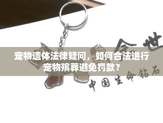 宠物遗体法律疑问，如何合法进行宠物殡葬避免罚款？