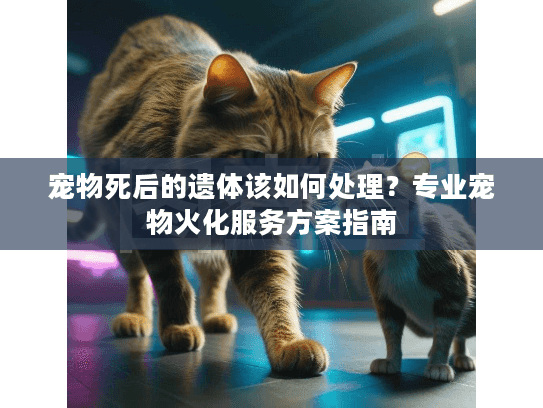 宠物死后的遗体该如何处理?专业宠物火化服务方案指南 宠物死后的遗体该如何处理?专业宠物火化服务方案指南