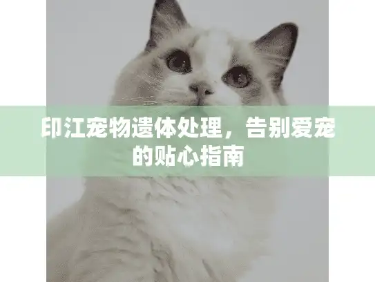印江宠物遗体处理，告别爱宠的贴心指南