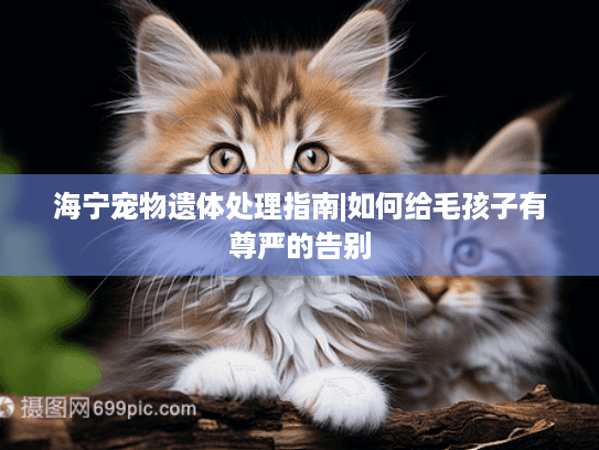 海宁宠物遗体处理指南|如何给毛孩子有尊严的告别