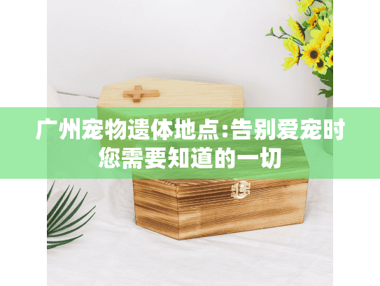 广州宠物遗体地点:告别爱宠时您需要知道的一切