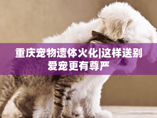 重庆宠物遗体火化|这样送别爱宠更有尊严