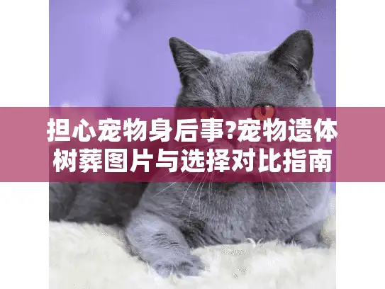 担心宠物身后事?宠物遗体树葬图片与选择对比指南