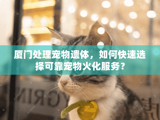 厦门处理宠物遗体，如何快速选择可靠宠物火化服务？