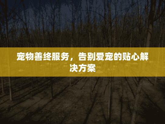 宠物善终服务，告别爱宠的贴心解决方案