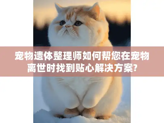 宠物遗体整理师如何帮您在宠物离世时找到贴心解决方案?