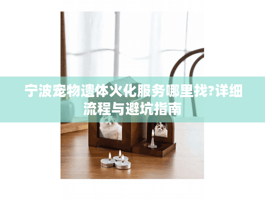 宁波宠物遗体火化服务哪里找?详细流程与避坑指南