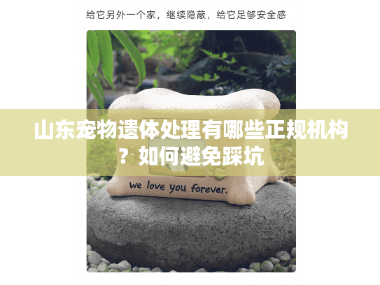 山东宠物遗体处理有哪些正规机构?如何避免踩坑 山东宠物遗体处理有哪些正规机构?如何避免踩坑
