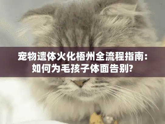 宠物遗体火化梧州全流程指南:如何为毛孩子体面告别?