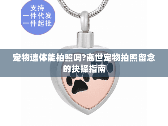 宠物遗体能拍照吗?离世宠物拍照留念的抉择指南