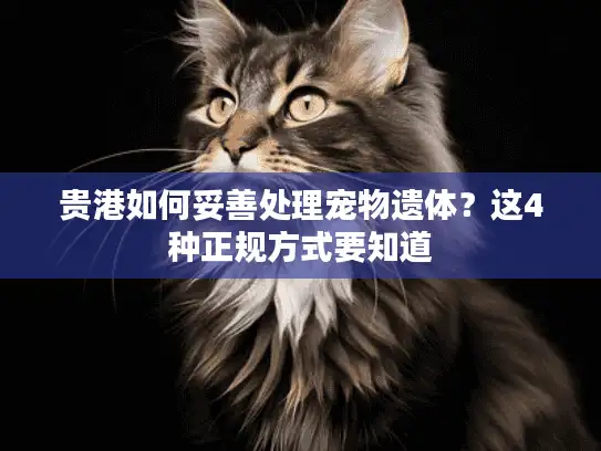 贵港如何妥善处理宠物遗体？这4种正规方式要知道