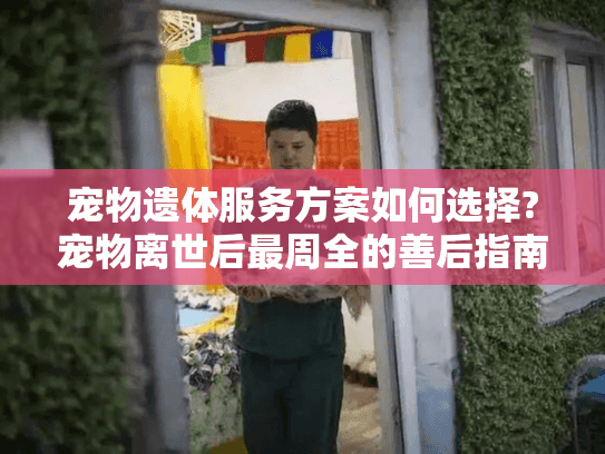 宠物遗体服务方案如何选择?宠物离世后最周全的善后指南 宠物遗体服务方案如何选择?宠物离世后最周全的善后指南