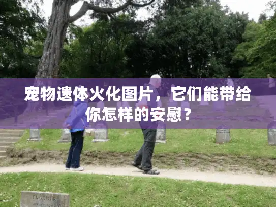 宠物遗体火化图片，它们能带给你怎样的安慰？