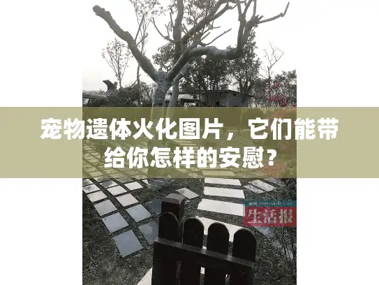 宠物遗体火化图片，它们能带给你怎样的安慰？