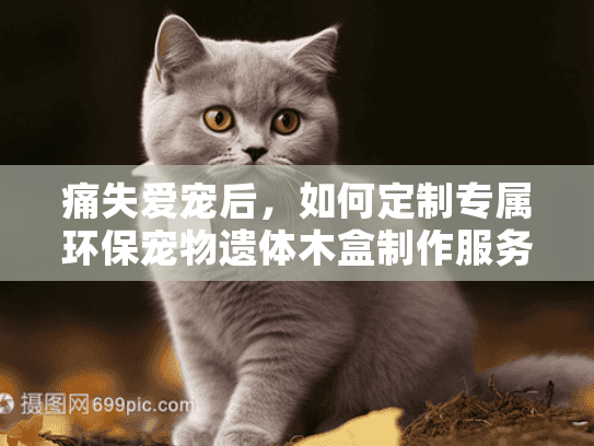 痛失爱宠后,如何定制专属环保宠物遗体木盒制作服务? 痛失爱宠后,如何定制专属环保宠物遗体木盒制作服务?