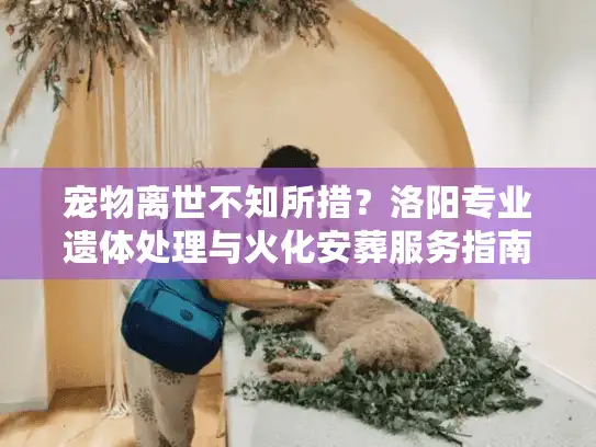 宠物离世不知所措？洛阳专业遗体处理与火化安葬服务指南