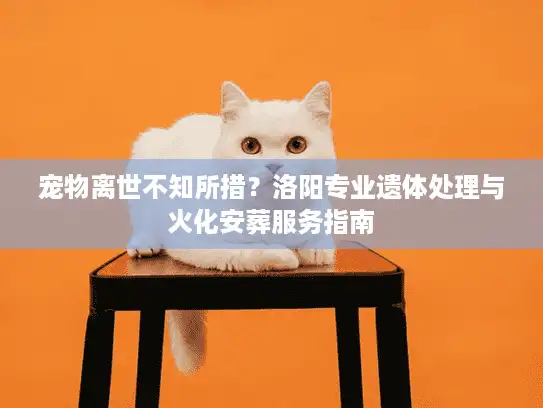 宠物离世不知所措？洛阳专业遗体处理与火化安葬服务指南