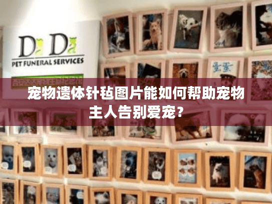 宠物遗体针毡图片能如何帮助宠物主人告别爱宠? 宠物遗体针毡图片能如何帮助宠物主人告别爱宠?