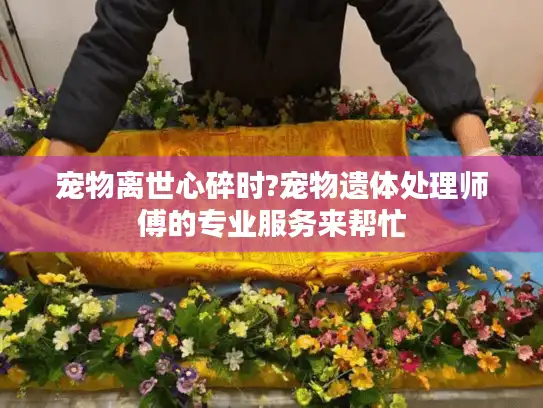 宠物离世心碎时?宠物遗体处理师傅的专业服务来帮忙