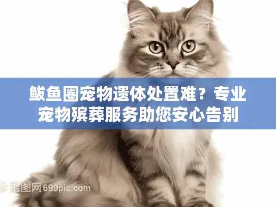 鲅鱼圈宠物遗体处置难？专业宠物殡葬服务助您安心告别