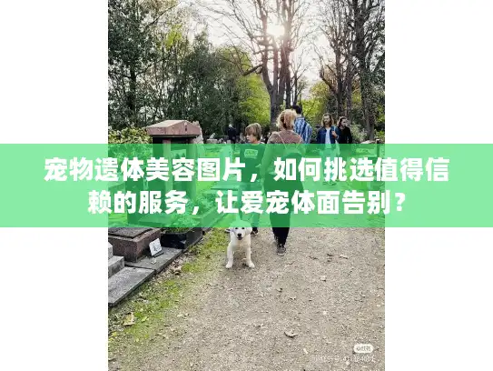 宠物遗体美容图片，如何挑选值得信赖的服务，让爱宠体面告别？