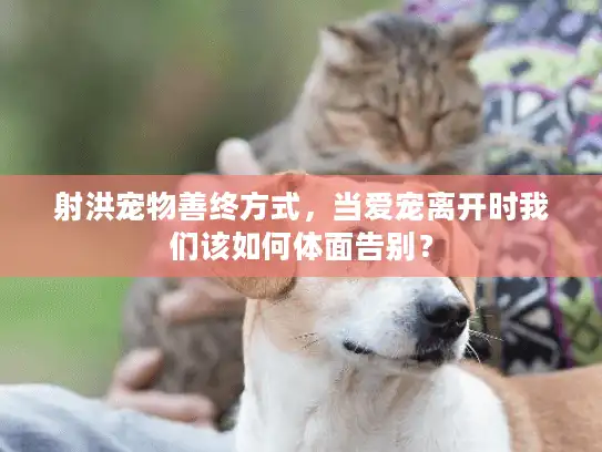 射洪宠物善终方式，当爱宠离开时我们该如何体面告别？
