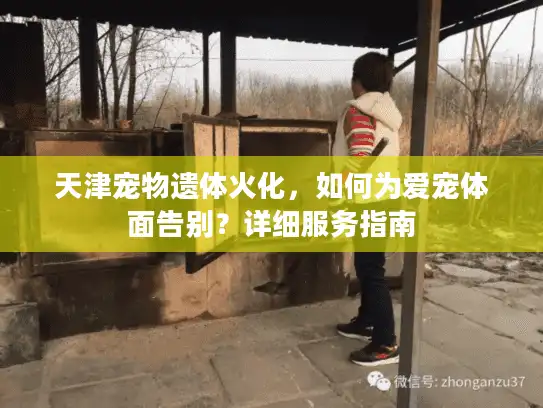 天津宠物遗体火化，如何为爱宠体面告别？详细服务指南