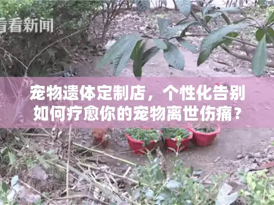 宠物遗体定制店，个性化告别如何疗愈你的宠物离世伤痛？