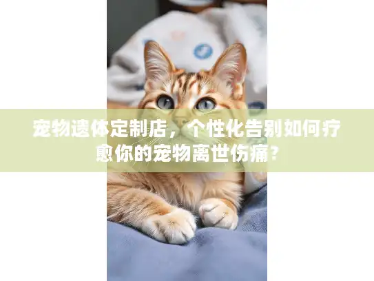 宠物遗体定制店，个性化告别如何疗愈你的宠物离世伤痛？